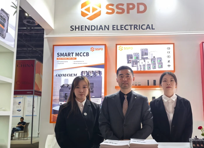 shendian electrical team in middel east energy dubai